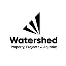 web design Tauranga