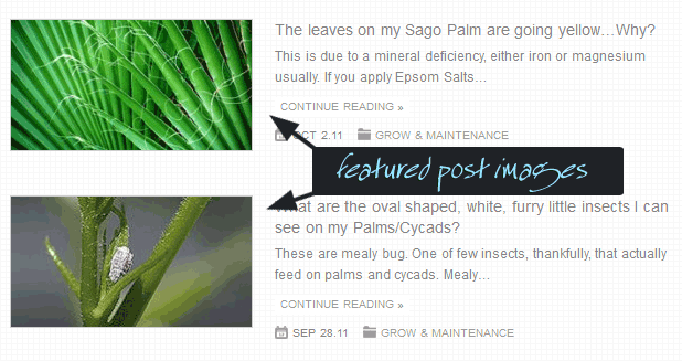 featured post images