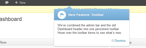 new feature pointer