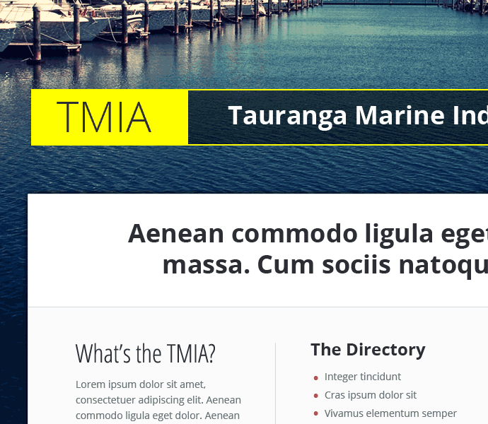 website design concept for TMIA