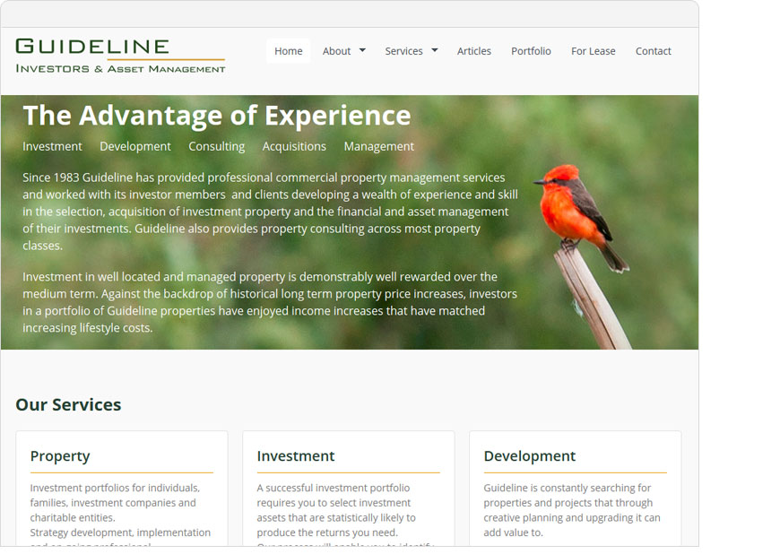 screenshot guideline wordpress website