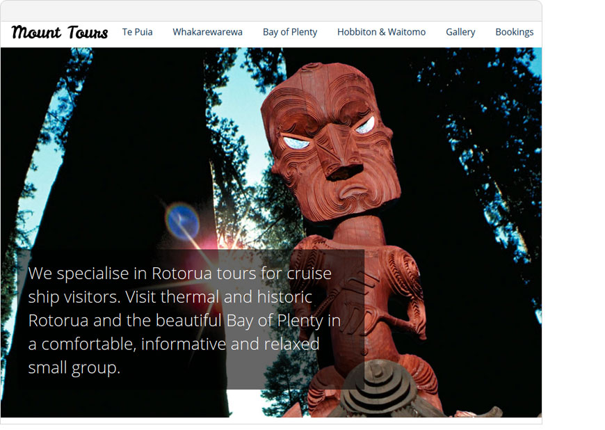 screenshot mount tours one page website