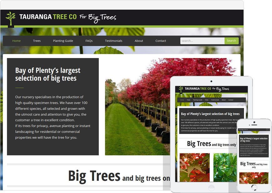 up and running the website for Tauranga Tree Co