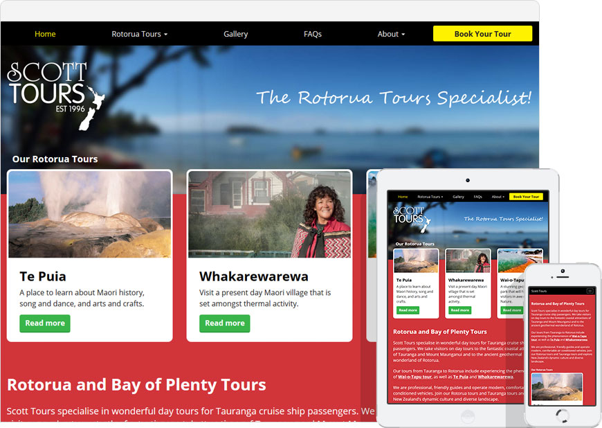 screenshot WordPress website scott tours