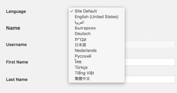 wordpress 4.7 dashboard language