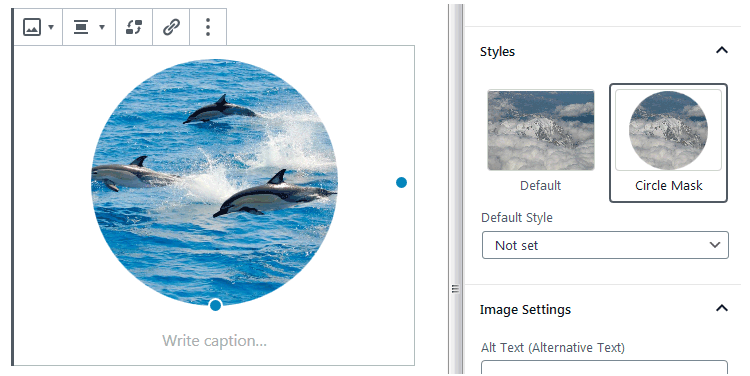 wordpress 5.3 image block styles