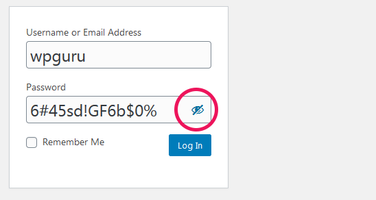 wordpress 5.3 show password