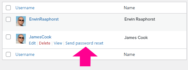 wordpress 5.7 send password reset link