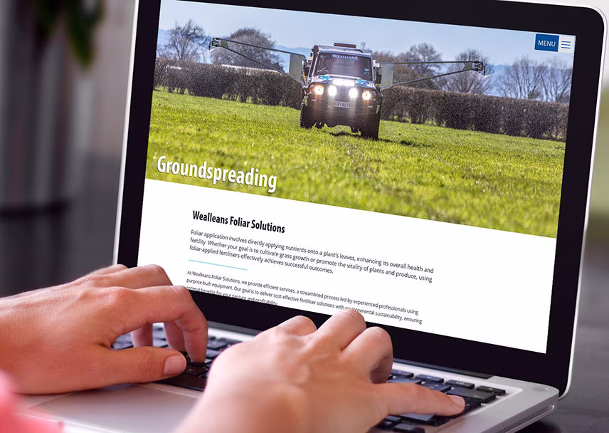 website updates for teh Wealleans website