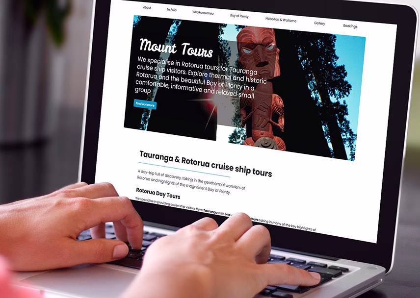 screenshot of the one-page website for mount tours