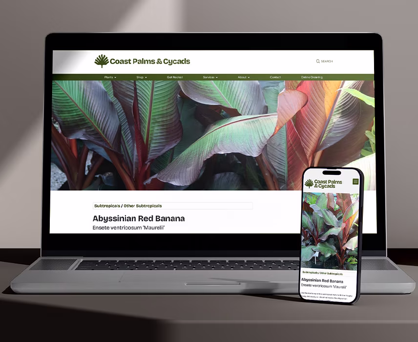 website design refresh for Coast Palms