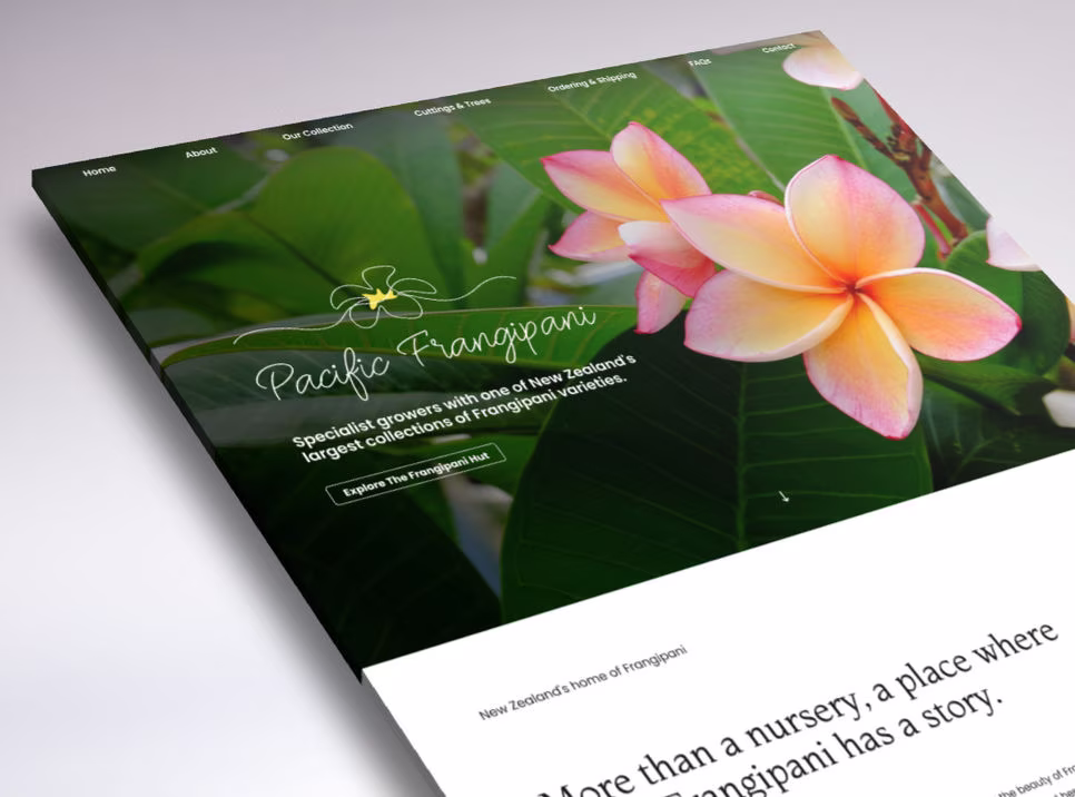 one page website design mock-up for Pacific Frangipani